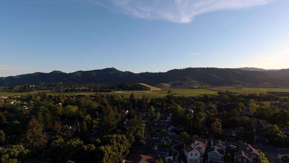 Looking West from Yountville, Ca