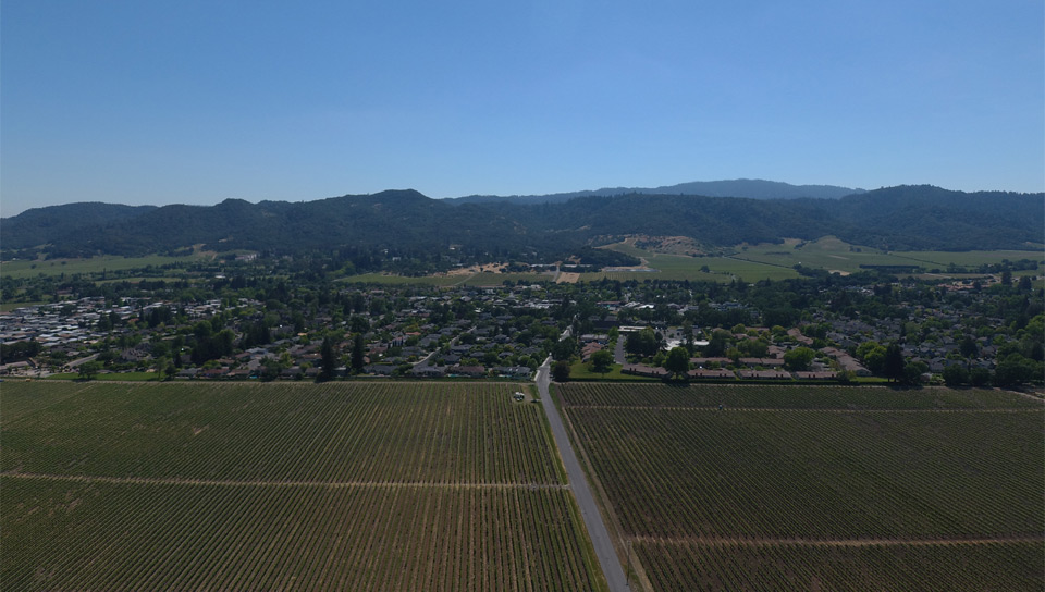 Looking West of Yountville, Ca