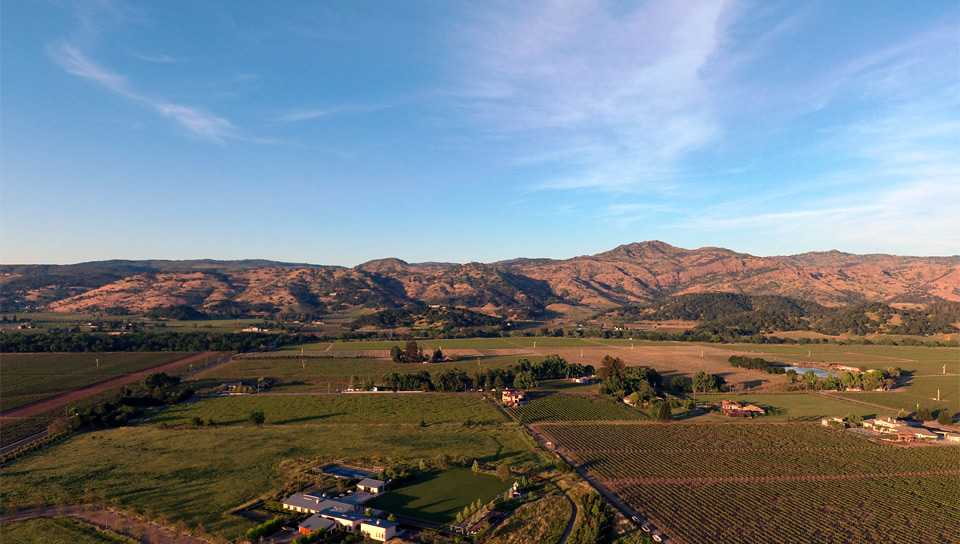 Looking East of Yountville, Ca