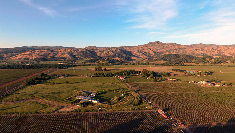 Looking East of Yountville, Ca