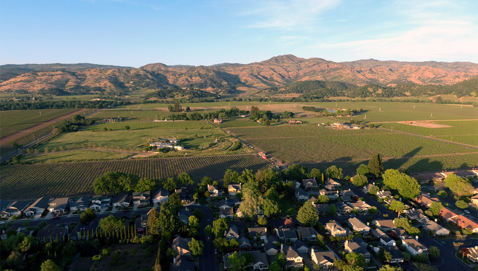 Looking East of Yountville, Ca